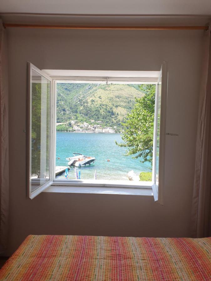 Savic Apartments Kotor Luaran gambar