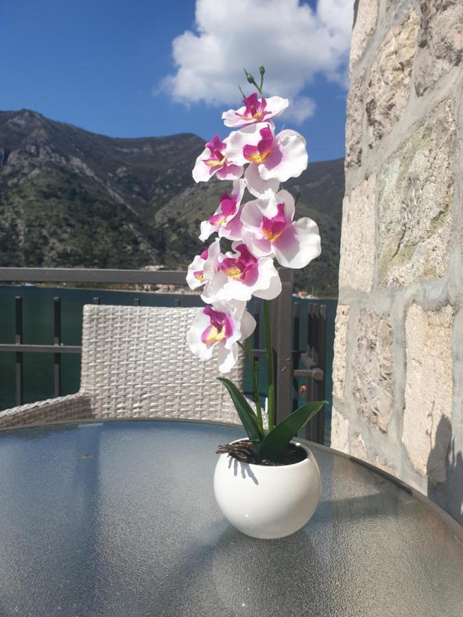 Savic Apartments Kotor Luaran gambar