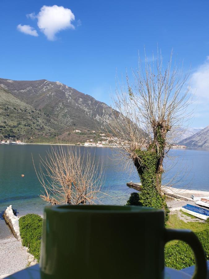 Savic Apartments Kotor Luaran gambar