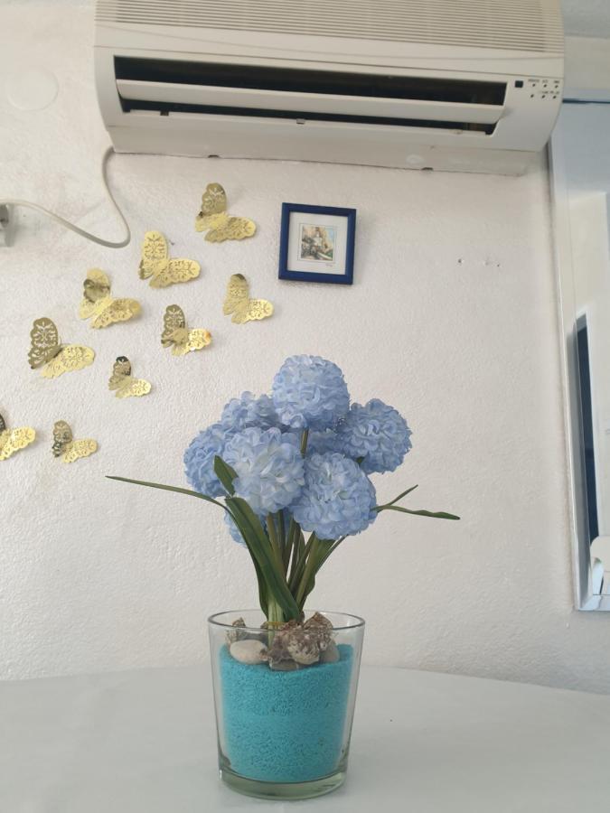 Savic Apartments Kotor Luaran gambar