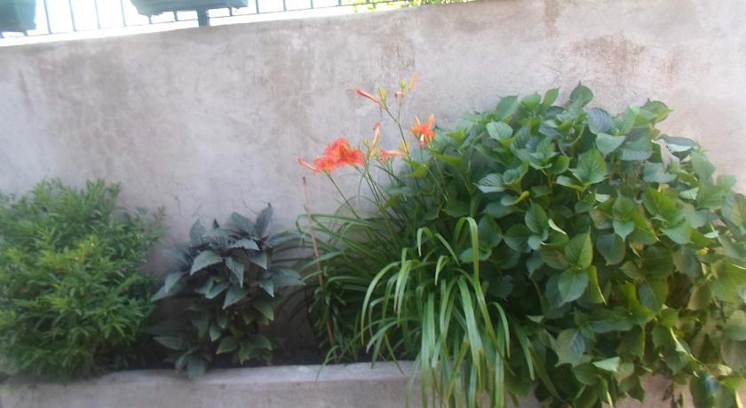 Savic Apartments Kotor Bilik gambar